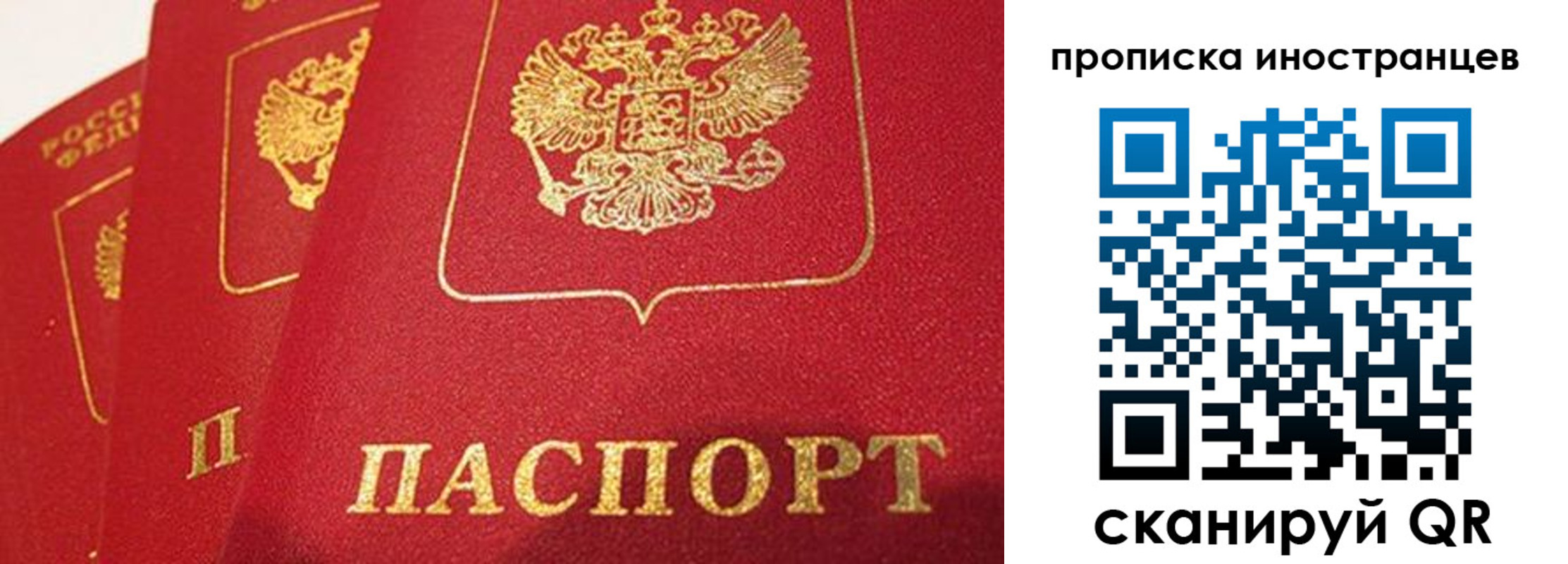 прописка поиск в Балтийске